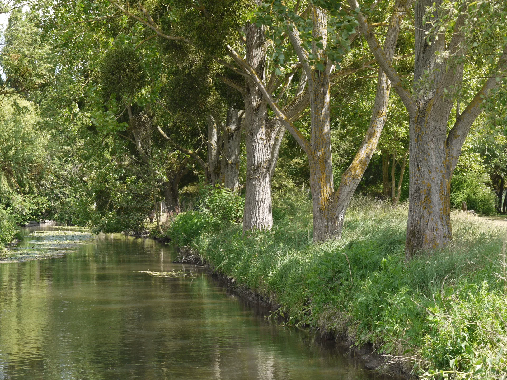 Etang de Trevoix à Égly — À 1,1 km du lac