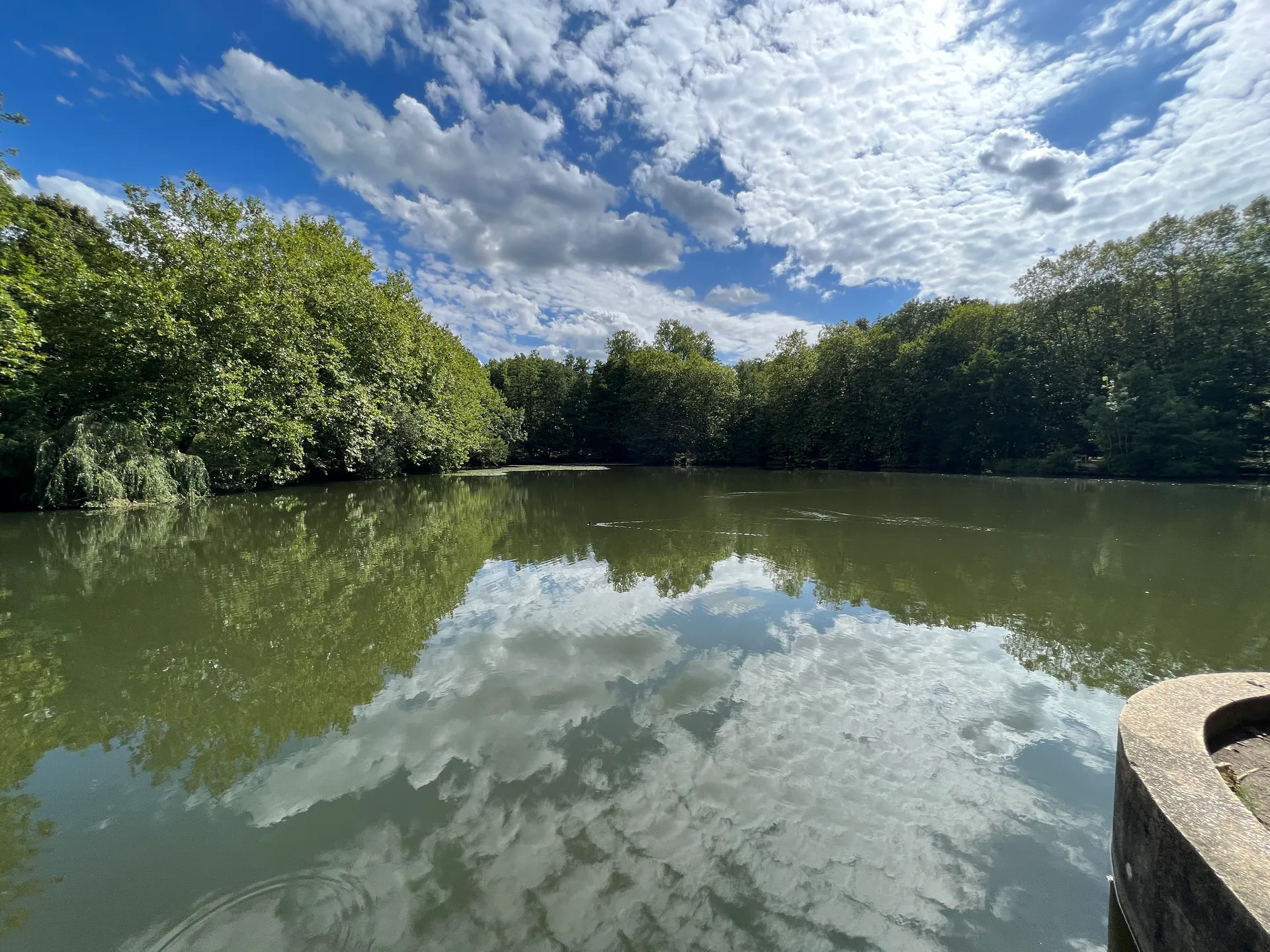 Etang de Trivaux à Meudon — Sur le lac