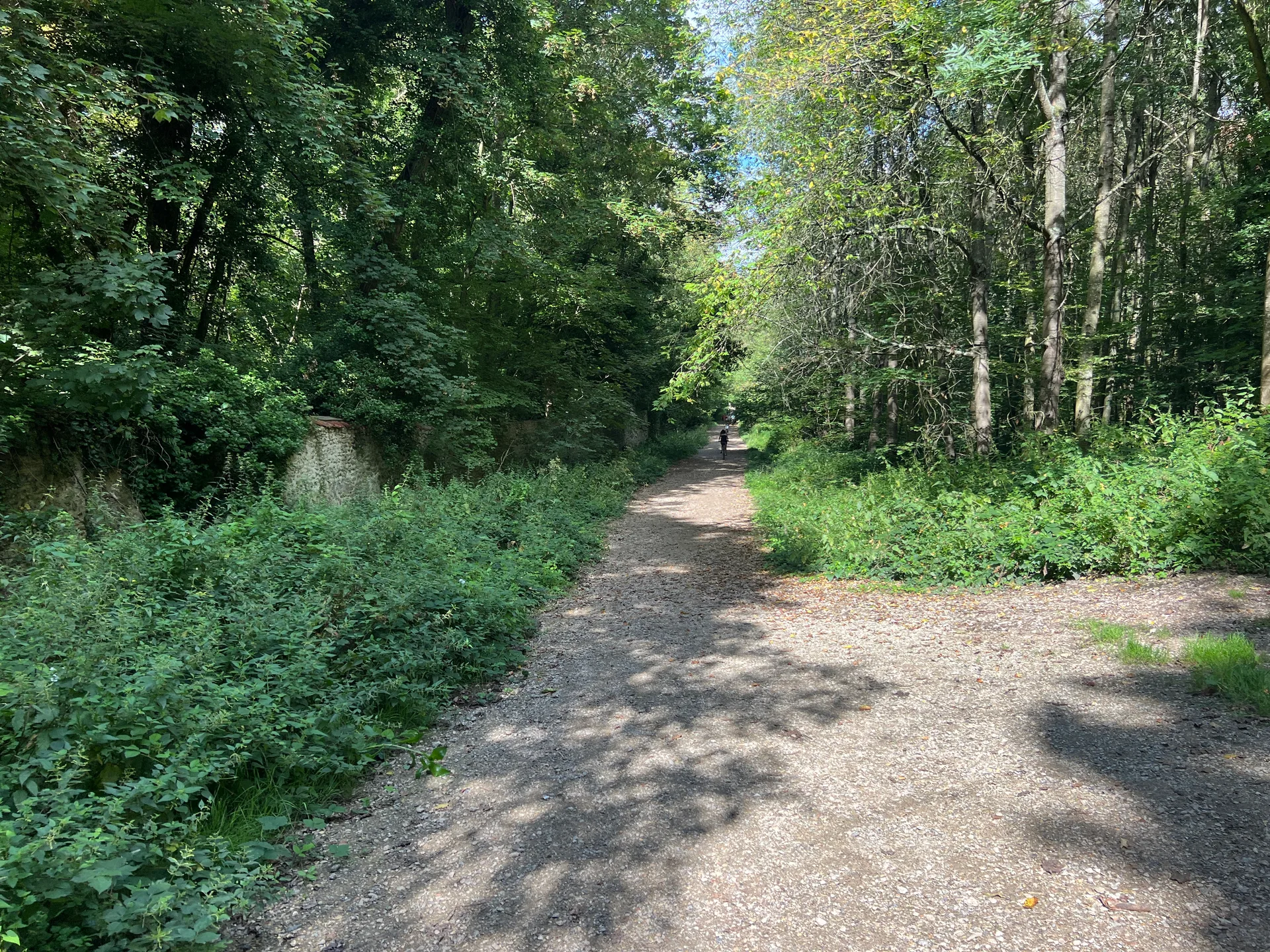 Etang de Trivaux à Meudon — À 254 m du lac