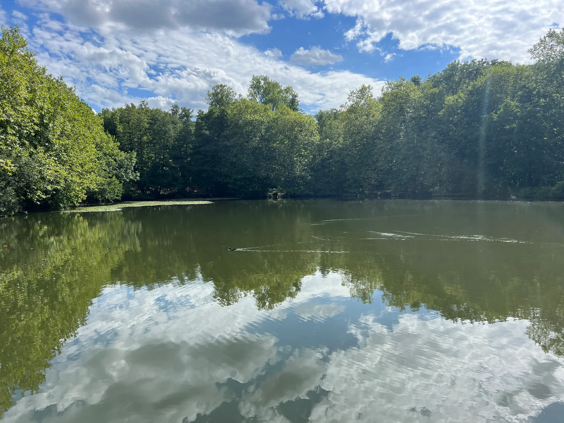 Etang de Trivaux à Meudon — Sur le lac