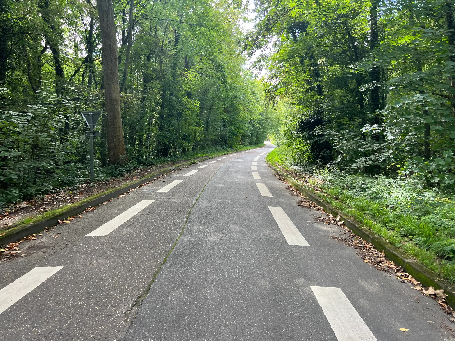 Etang de Trivaux à Meudon — À 269 m du lac