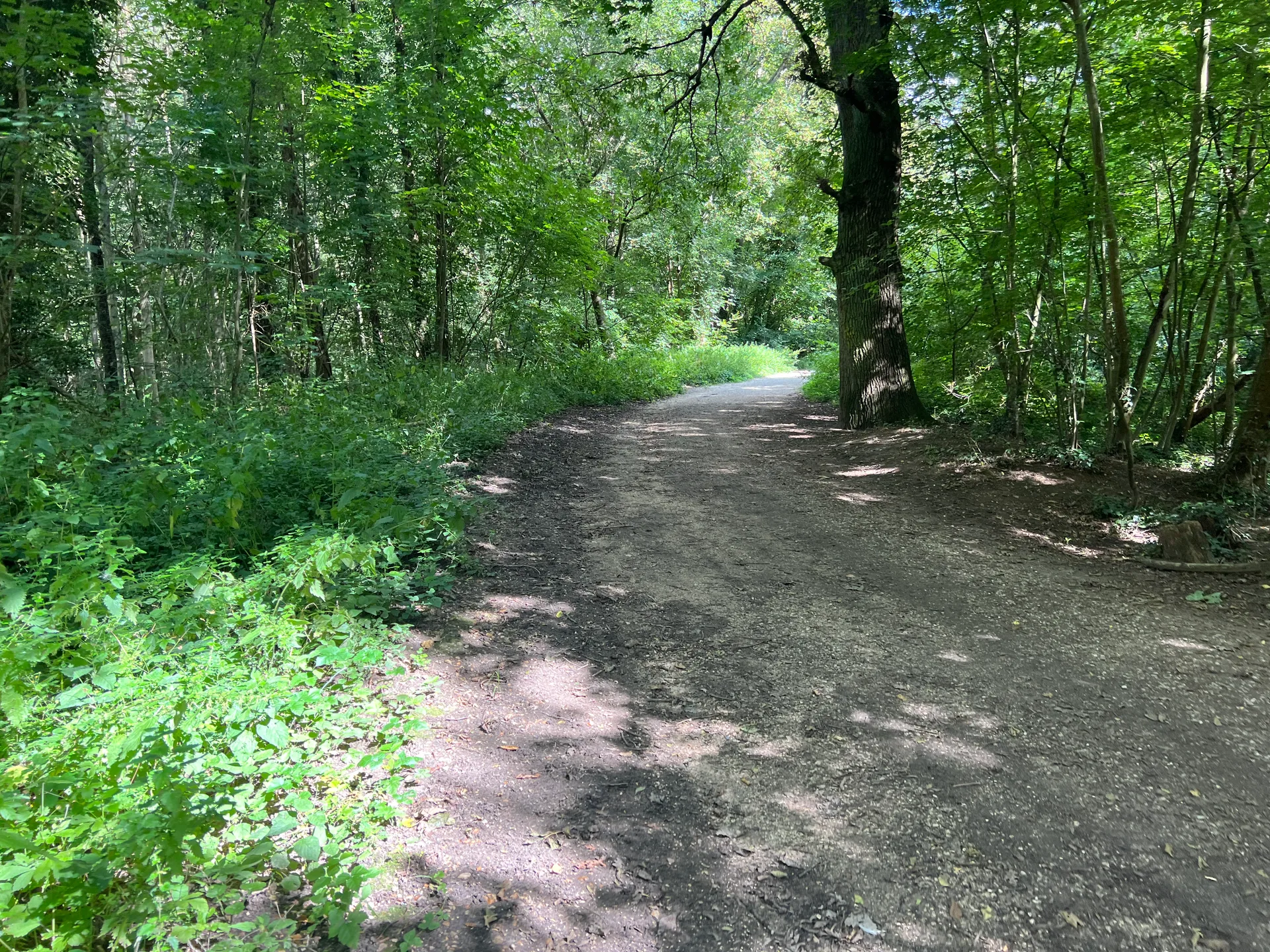 Etang de Trivaux à Meudon — À 275 m du lac