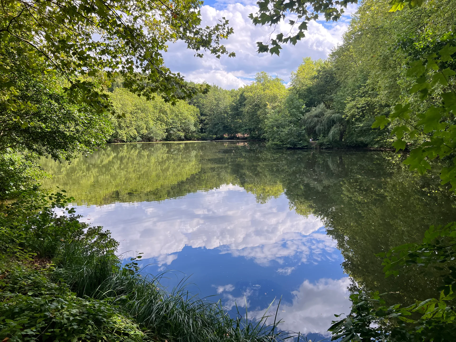 Etang de Trivaux à Meudon — Sur le lac