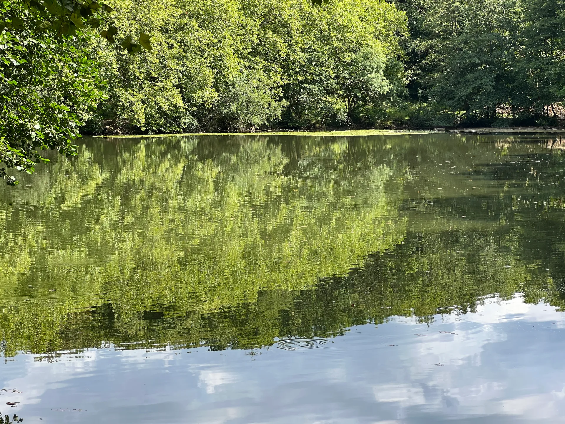 Etang de Trivaux à Meudon — Sur le lac
