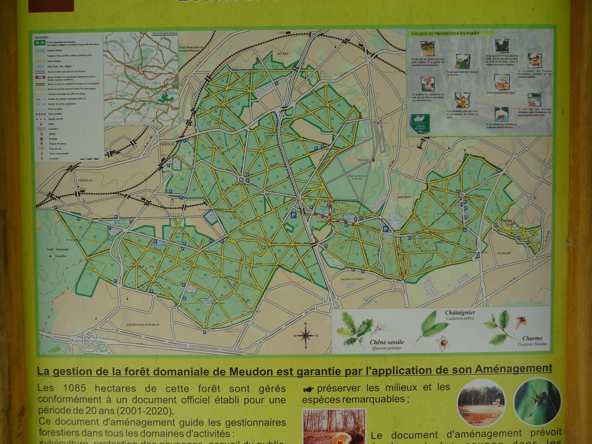 Etang de Trivaux à Meudon — Sur le lac