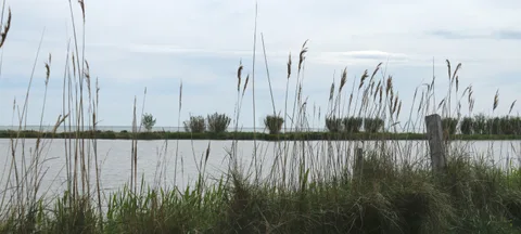 Étang de Vaccarès