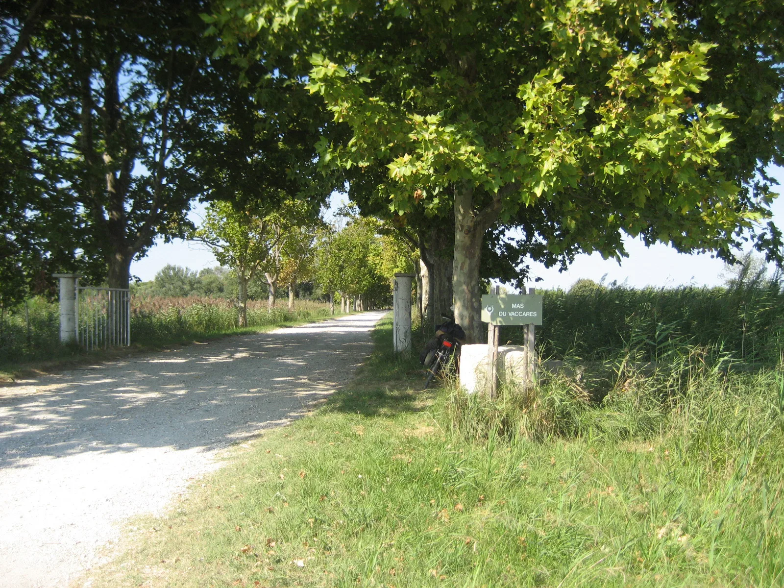 Étang de Vaccarès à Saintes-Maries-de-la-Mer — À 2,5 km du lac