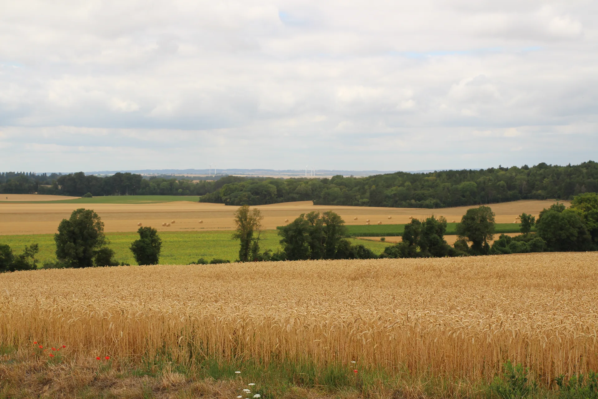 Etang de Vie à Boischampré — À 3,8 km du lac