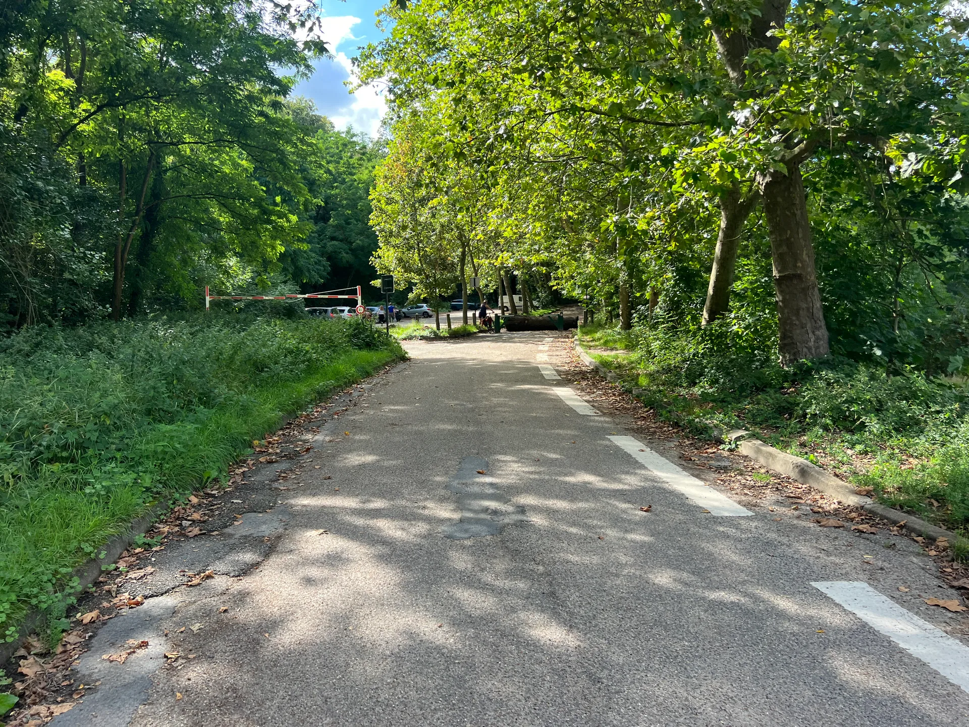 Etang de Villebon à Meudon — À 394 m du lac