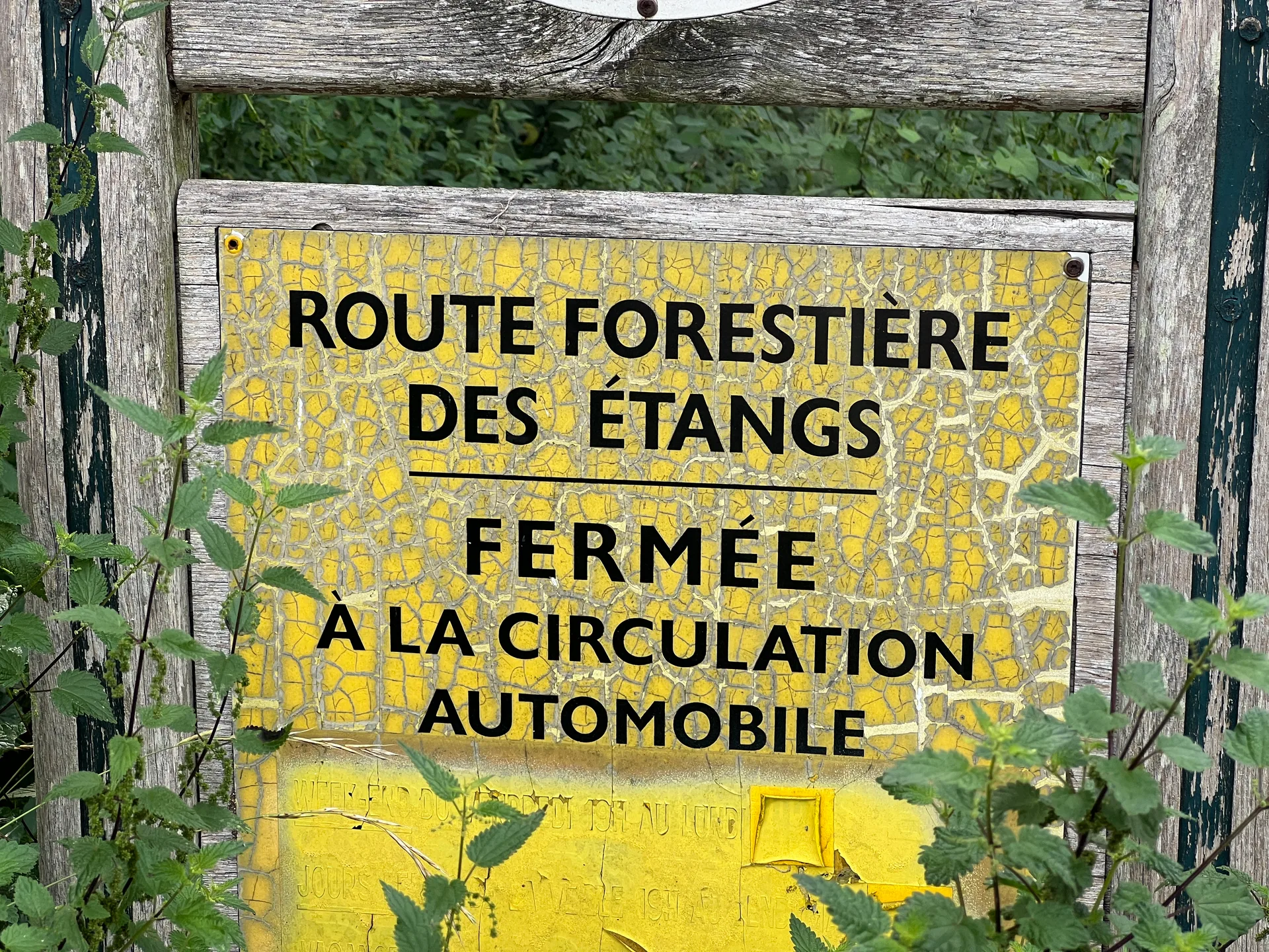 Etang de Villebon à Meudon — À 400 m du lac