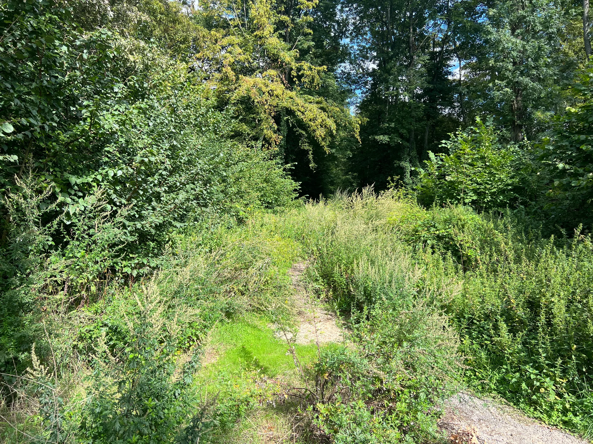 Etang de Villebon à Meudon — À 466 m du lac