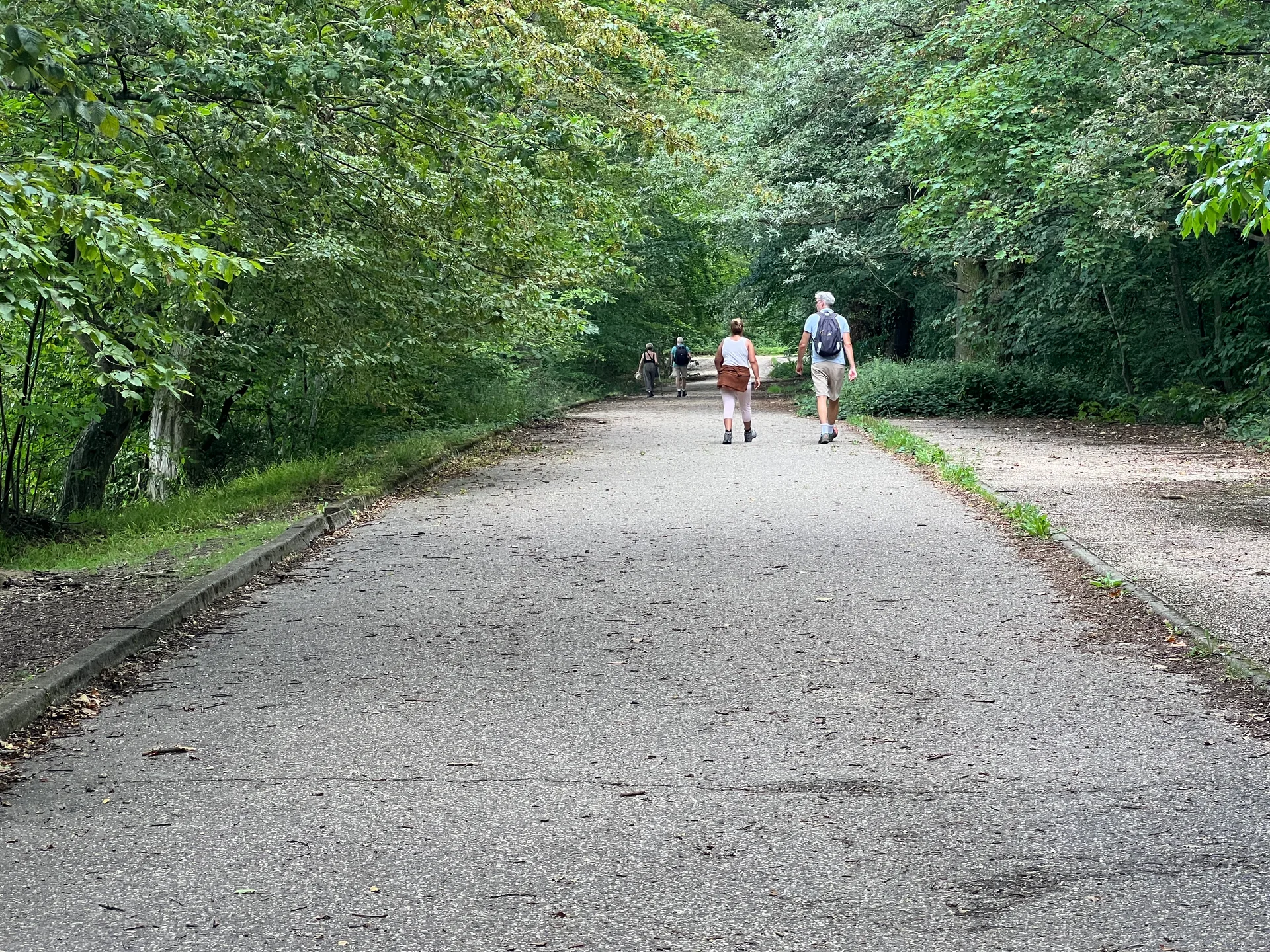 Etang de Villebon à Meudon — Sur le lac