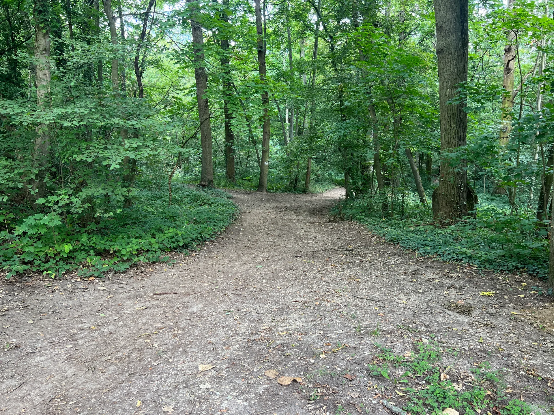 Etang de Villebon à Meudon — Sur le lac