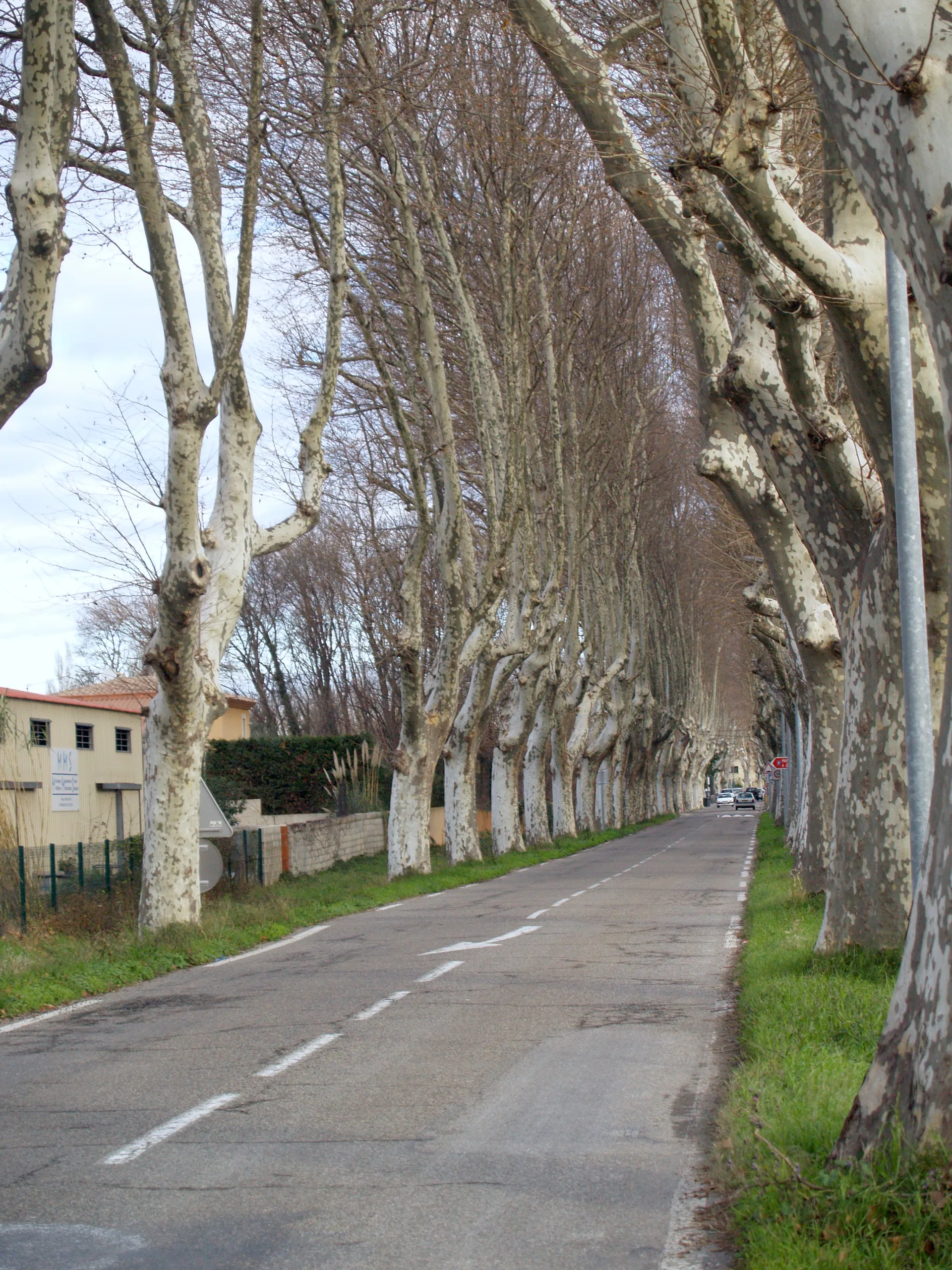 Etang des Aulnes à Saint-Martin-de-Crau — À 4,4 km du lac