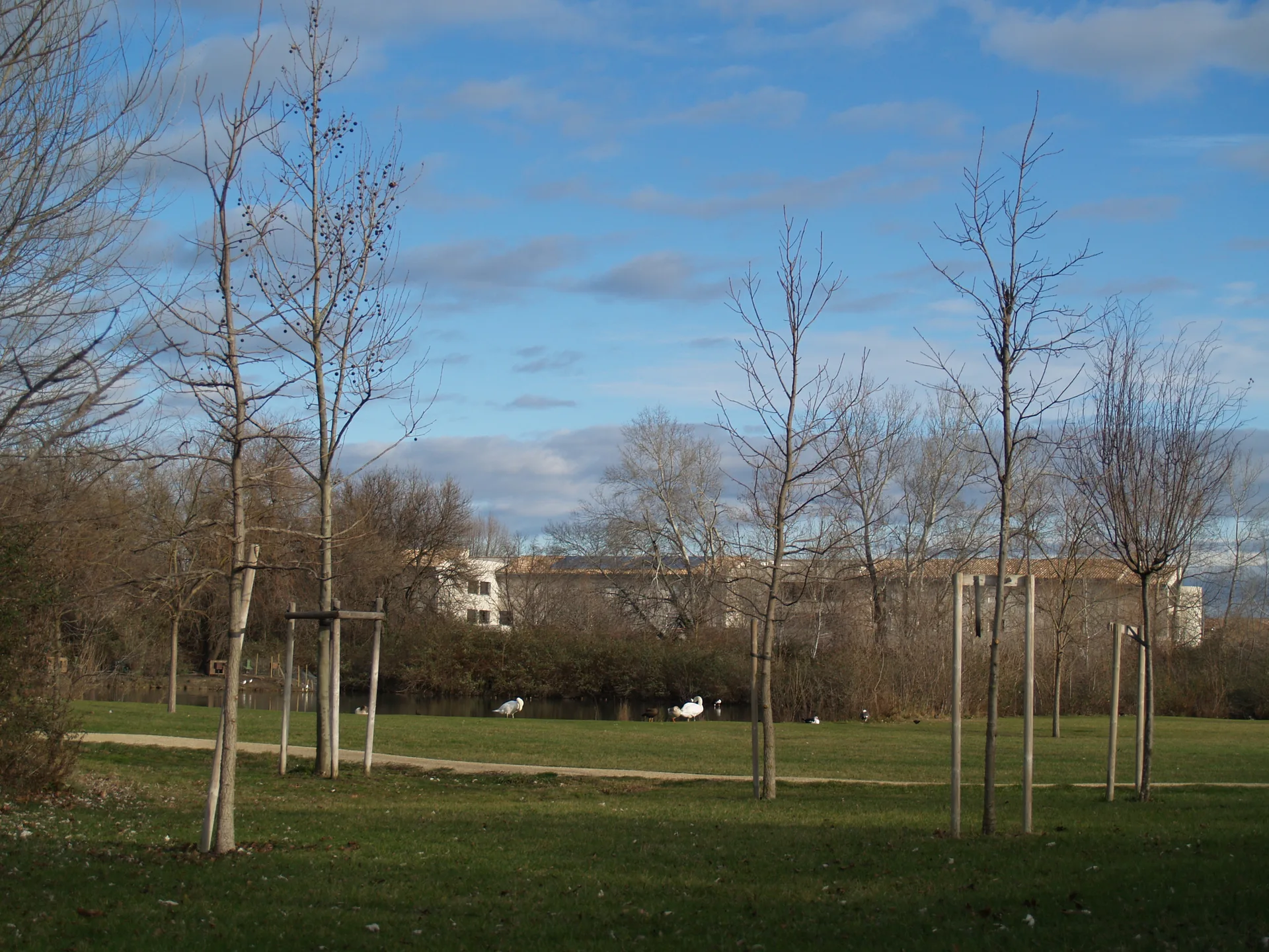 Etang des Aulnes à Saint-Martin-de-Crau — À 4,4 km du lac
