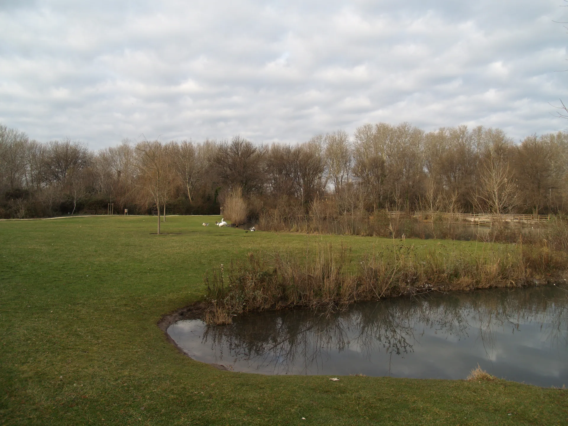 Etang des Aulnes à Saint-Martin-de-Crau — À 4,5 km du lac