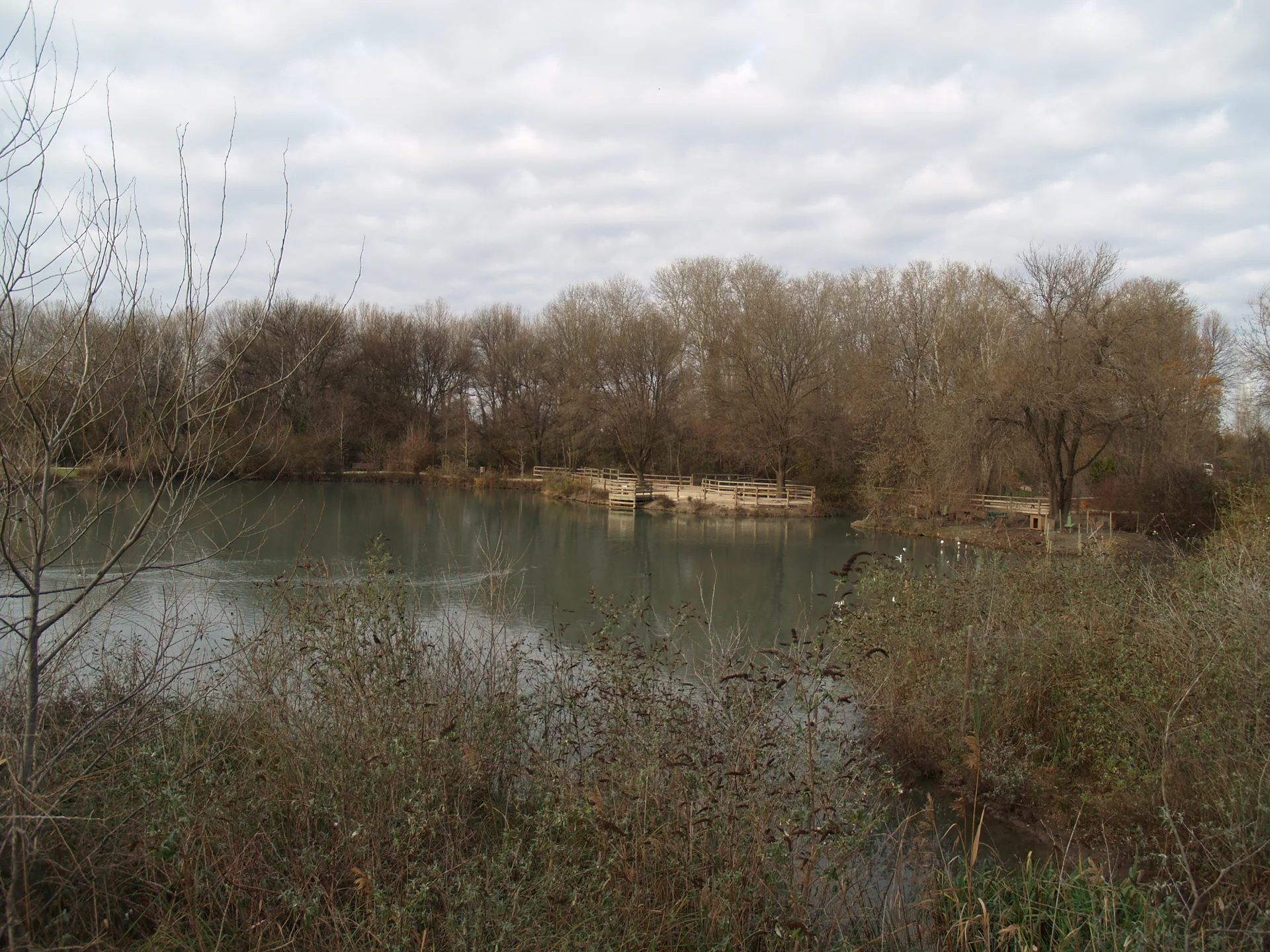 Etang des Aulnes à Saint-Martin-de-Crau — À 4,5 km du lac