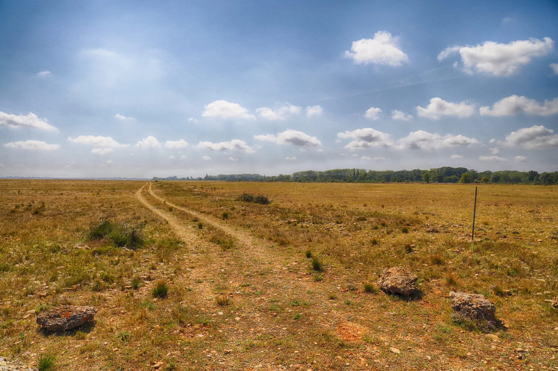 Etang des Aulnes à Saint-Martin-de-Crau — À 4,7 km du lac