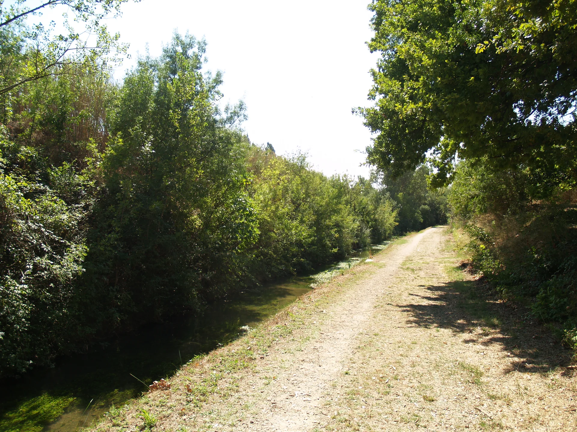 Etang des Aulnes à Saint-Martin-de-Crau — À 4,9 km du lac