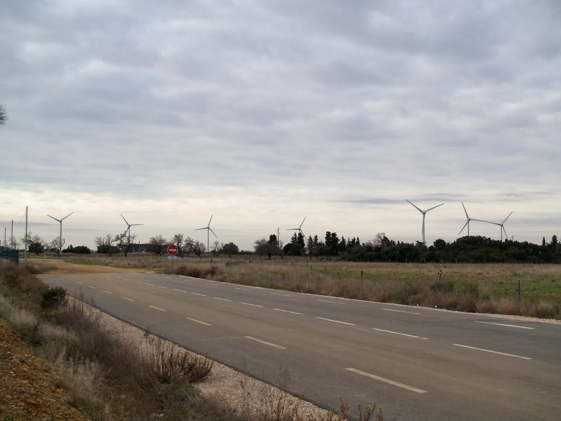 Etang des Aulnes à Saint-Martin-de-Crau — À 3,9 km du lac