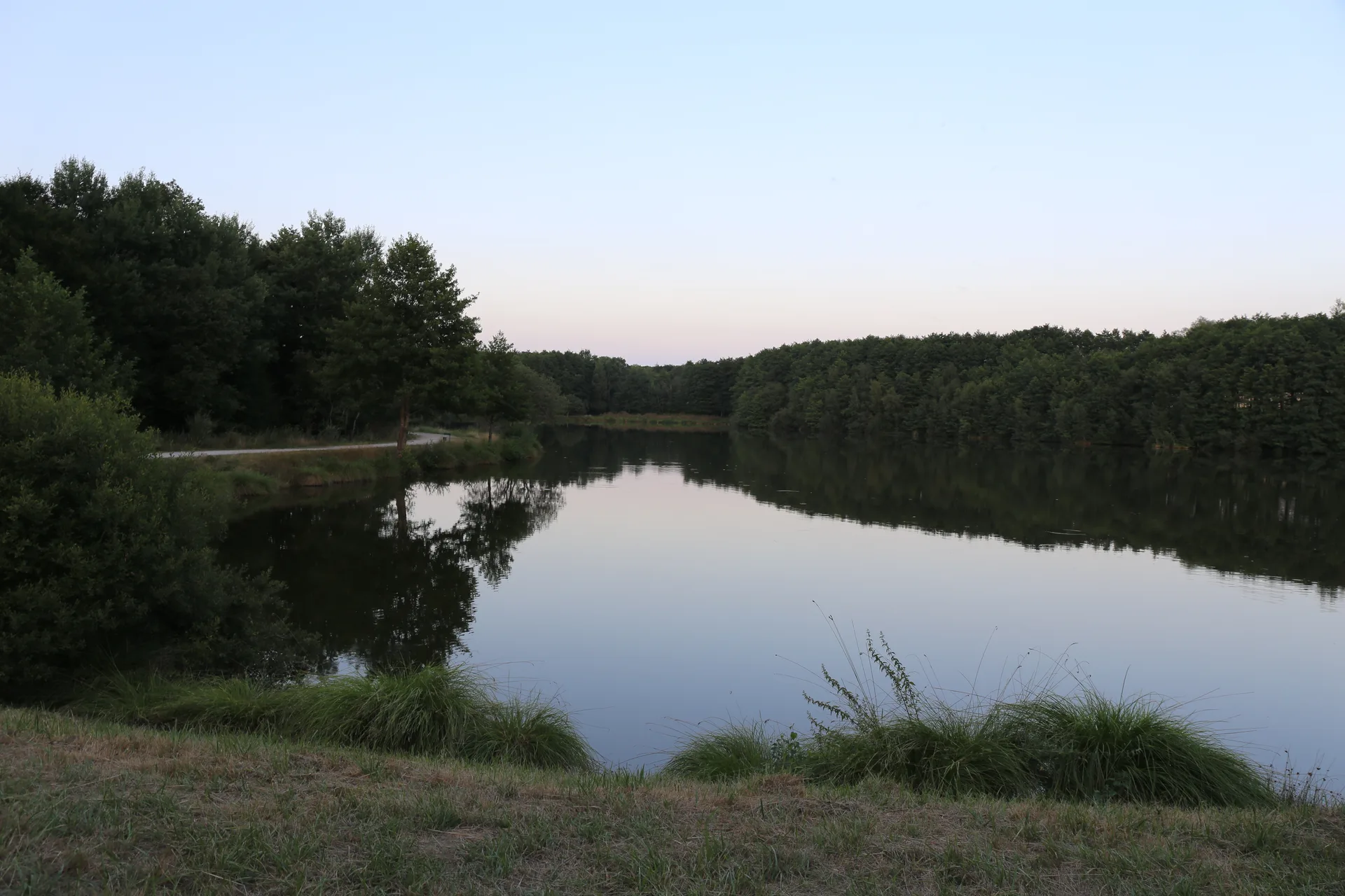 Etang des Barres à Saint-Sauveur-en-Puisaye — À 1,1 km du lac
