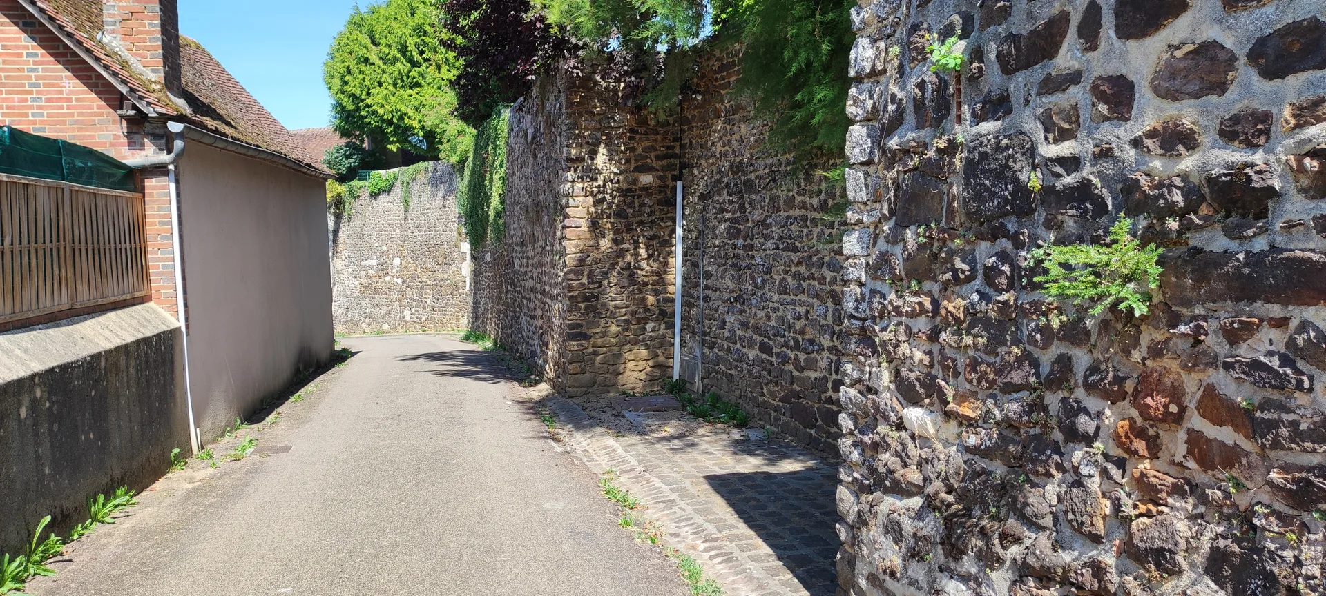 Etang des Barres à Saint-Sauveur-en-Puisaye — À 2,7 km du lac