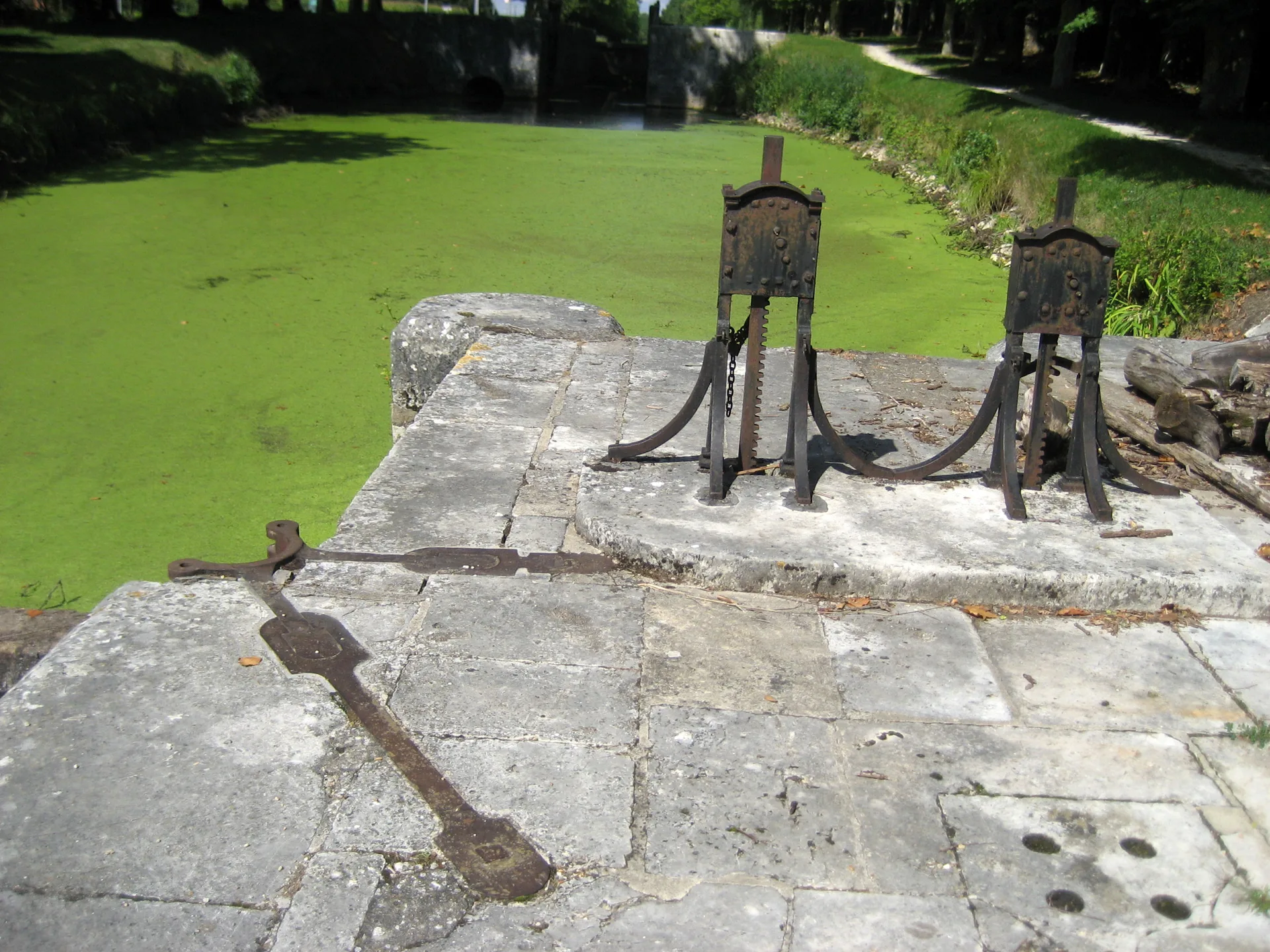 Etang des Bois à Vieilles-Maisons-sur-Joudry — À 2,8 km du lac