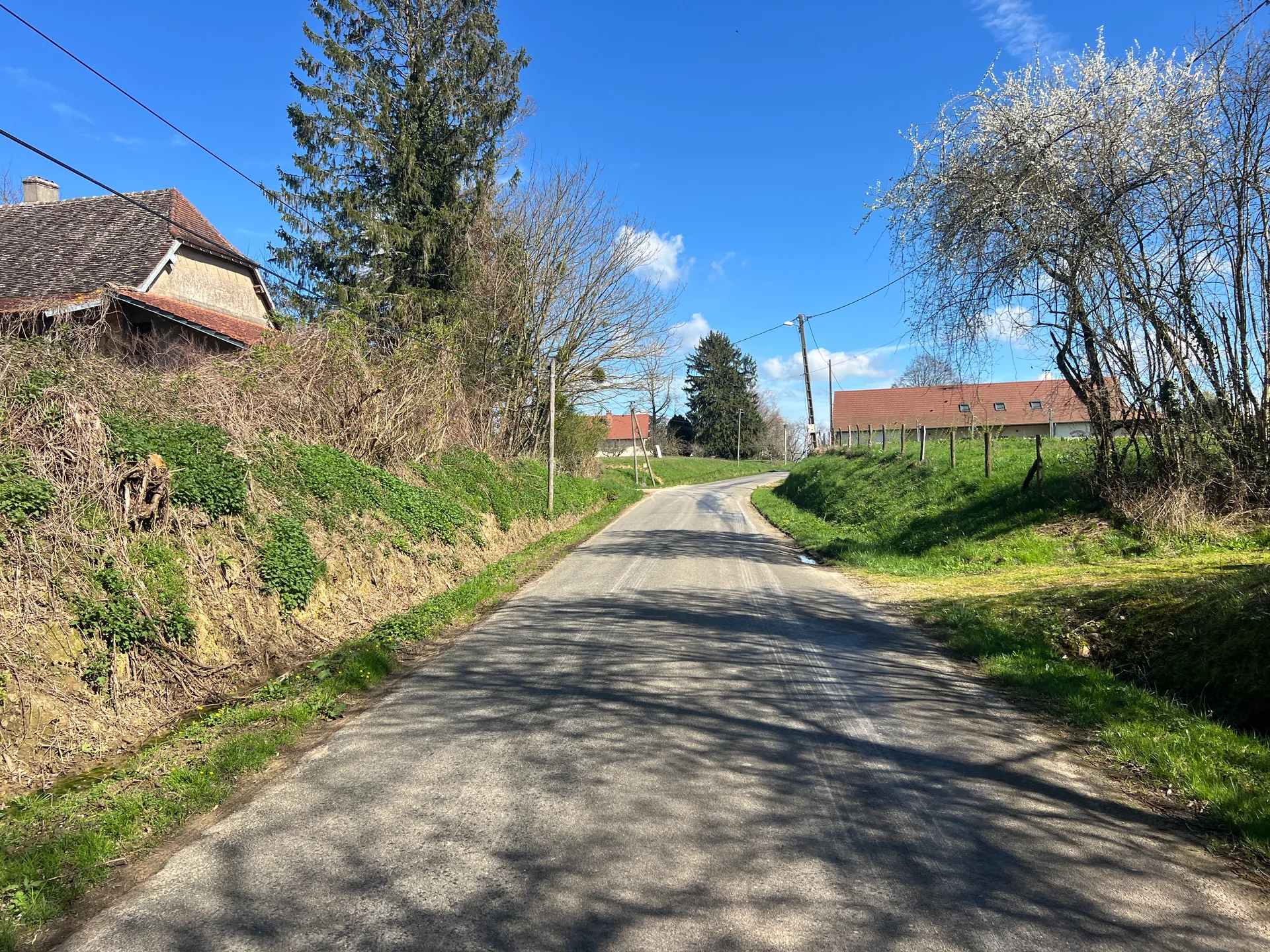 Etang des Charmes à Romenay — À 3,0 km du lac