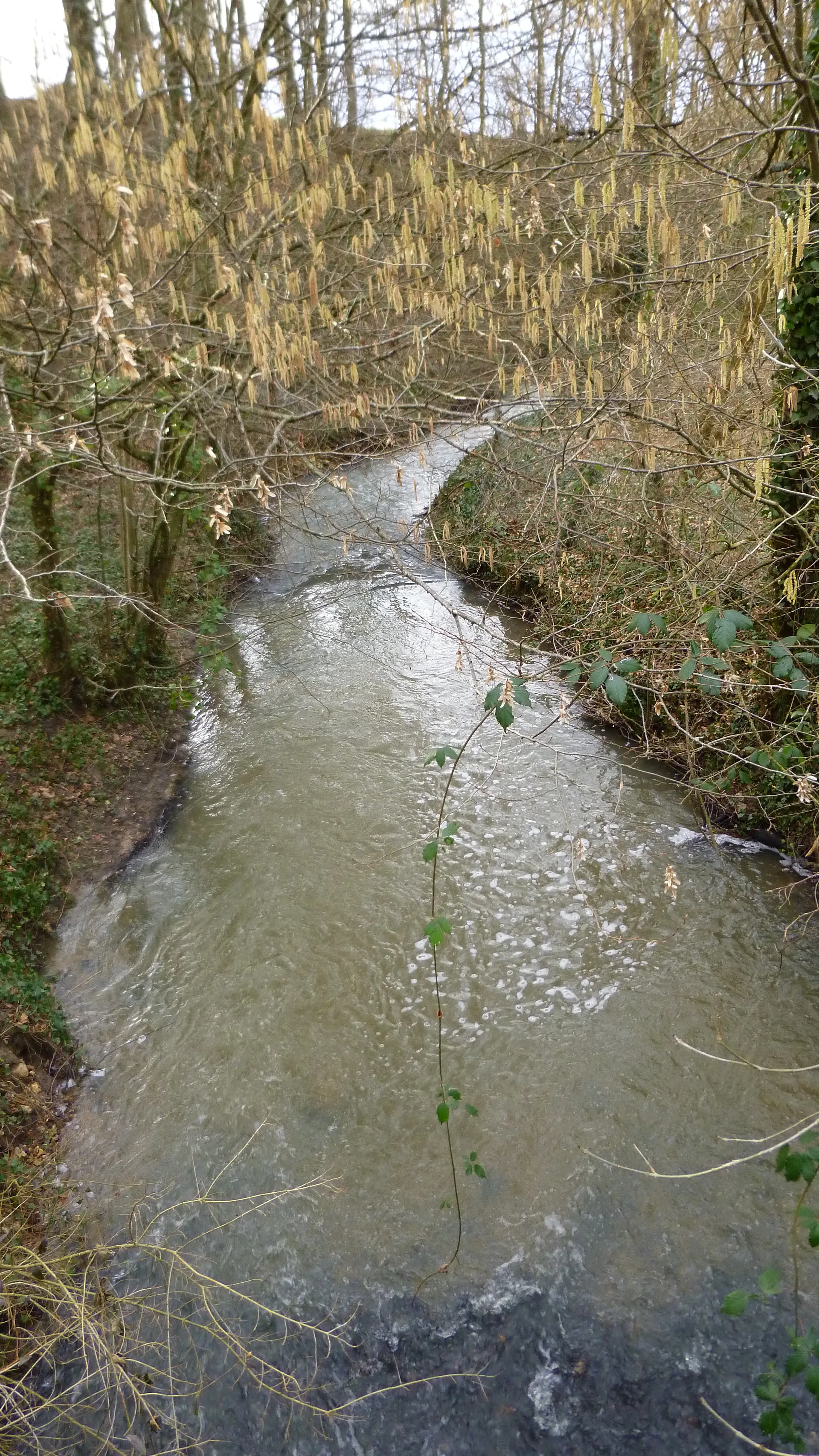Etang des Courants à Charny Orée de Puisaye — À 2,9 km du lac