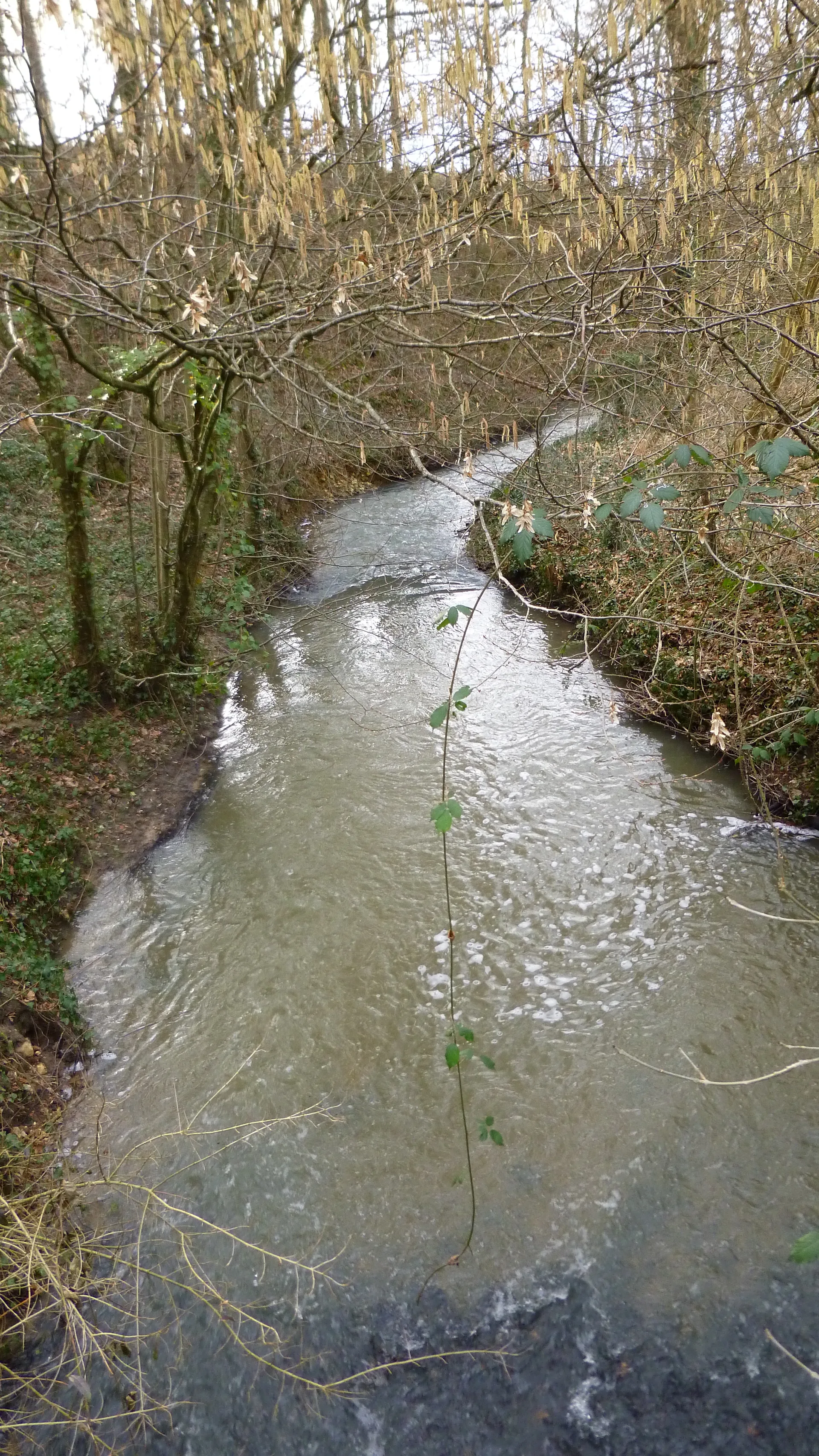 Etang des Courants à Charny Orée de Puisaye — À 2,9 km du lac