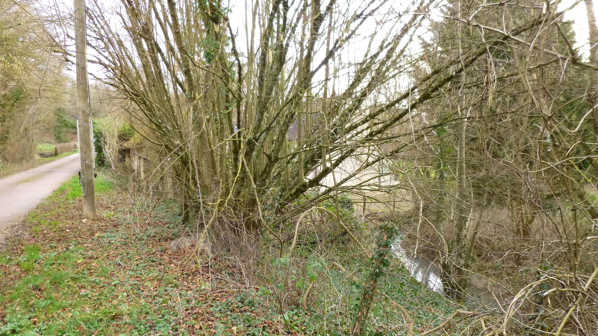 Etang des Courants à Charny Orée de Puisaye — À 2,8 km du lac