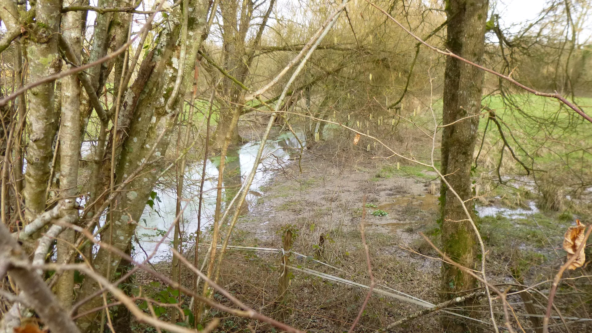 Etang des Courants à Charny Orée de Puisaye — À 2,8 km du lac
