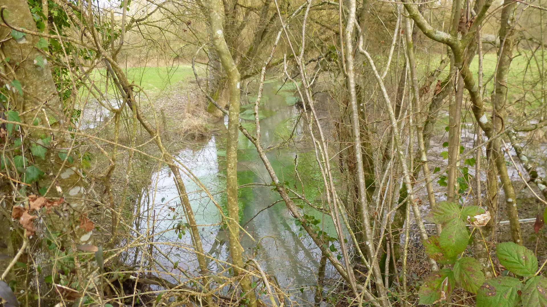 Etang des Courants à Charny Orée de Puisaye — À 2,8 km du lac