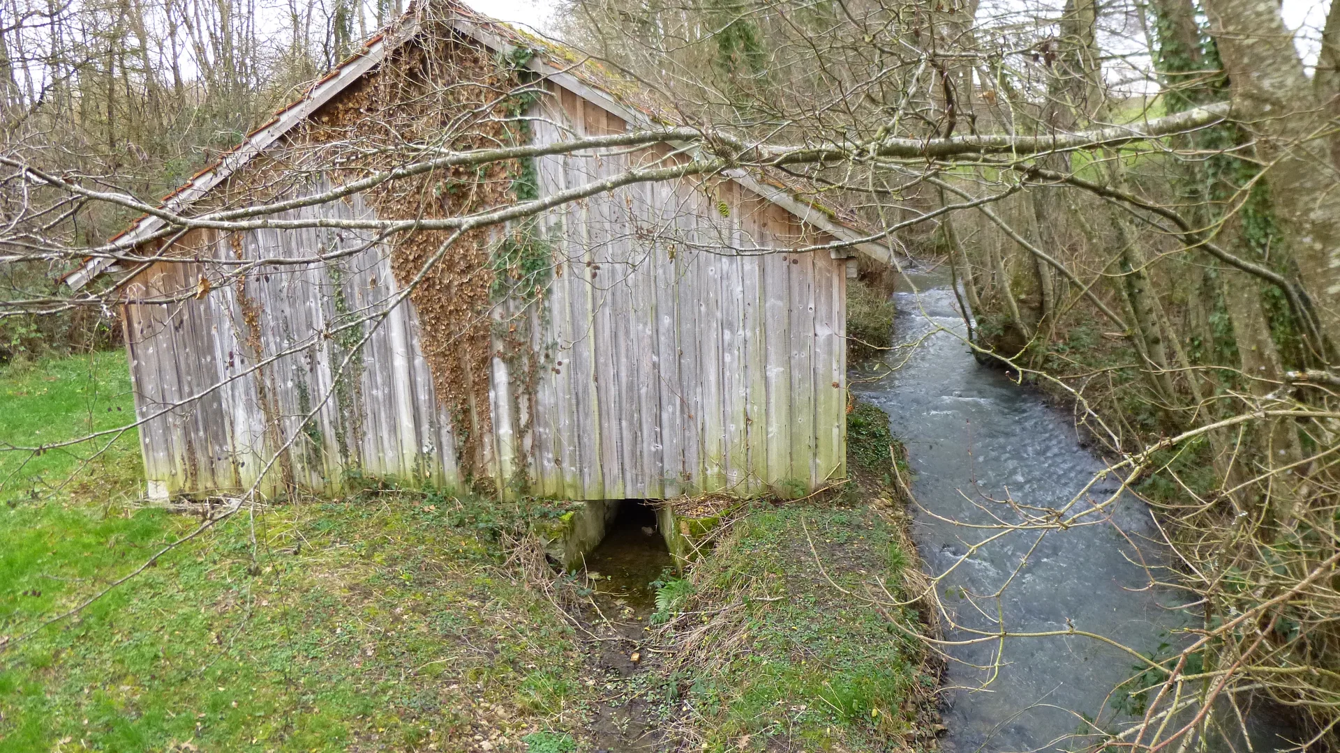 Etang des Courants à Charny Orée de Puisaye — À 2,9 km du lac