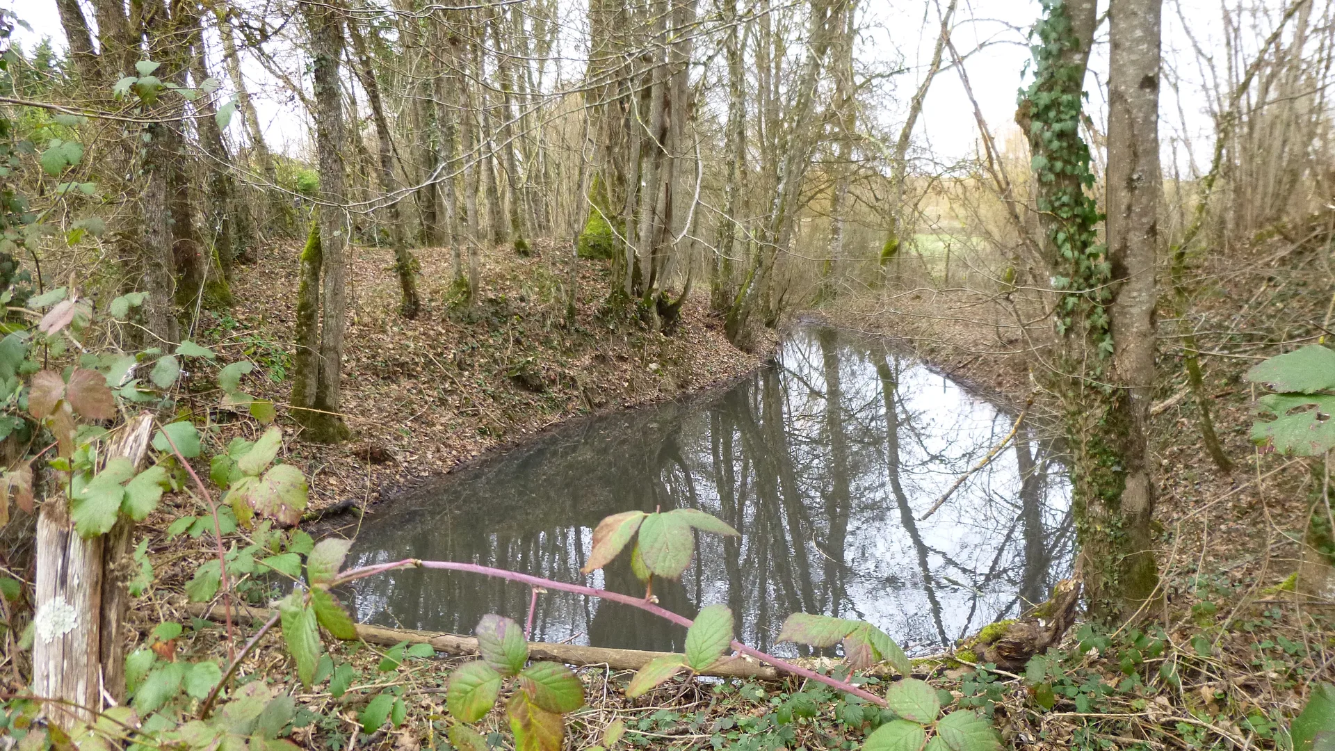 Etang des Courants à Charny Orée de Puisaye — À 2,9 km du lac