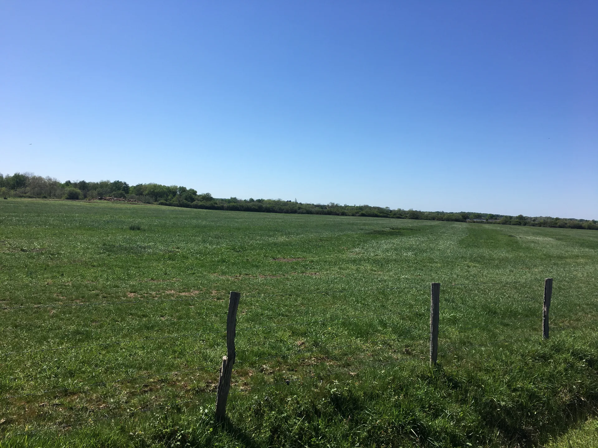 Etang des Epinettes à Saint-Michel-en-Brenne — À 2,3 km du lac