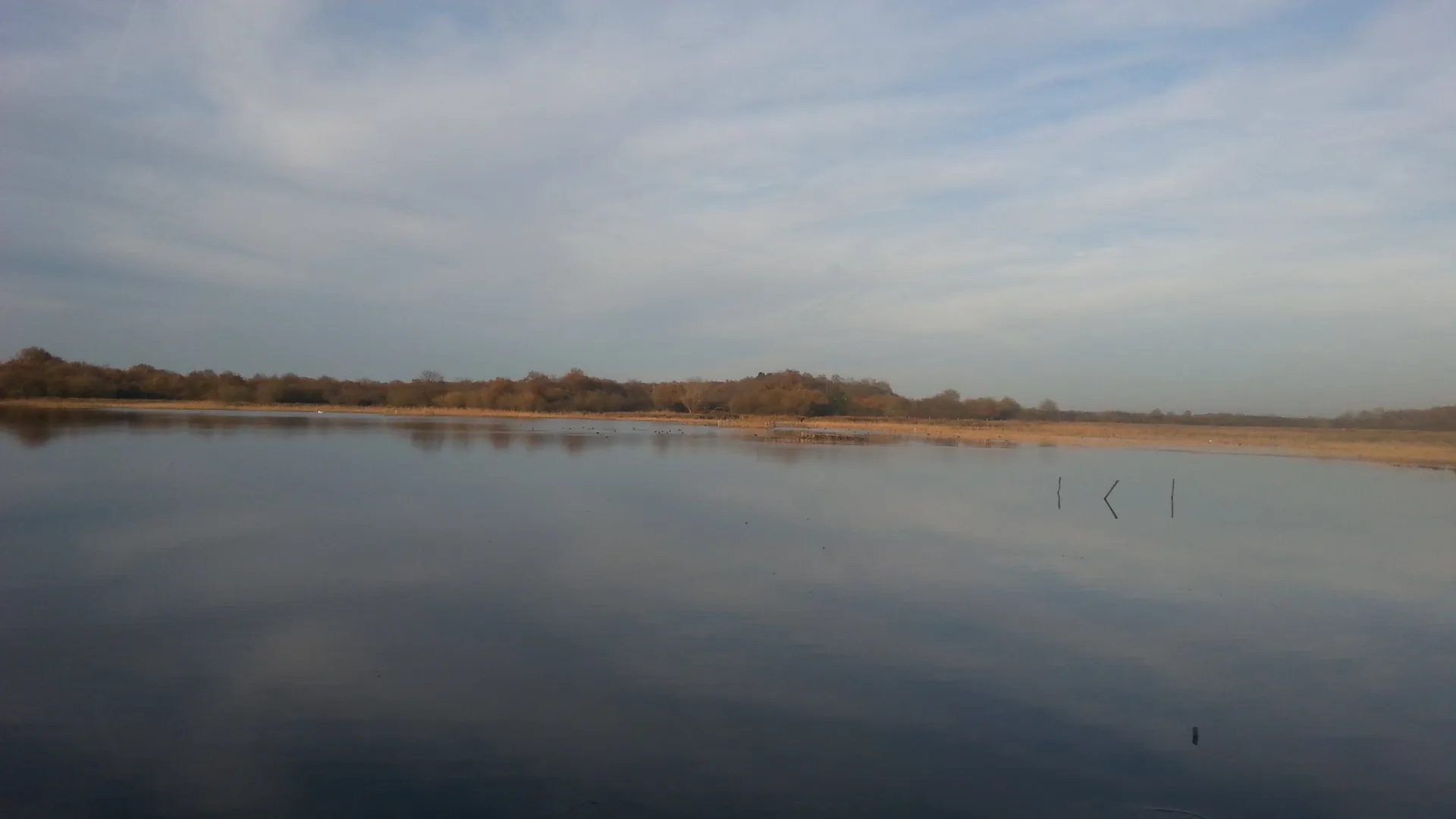 Etang des Epinettes à Saint-Michel-en-Brenne — À 4,3 km du lac