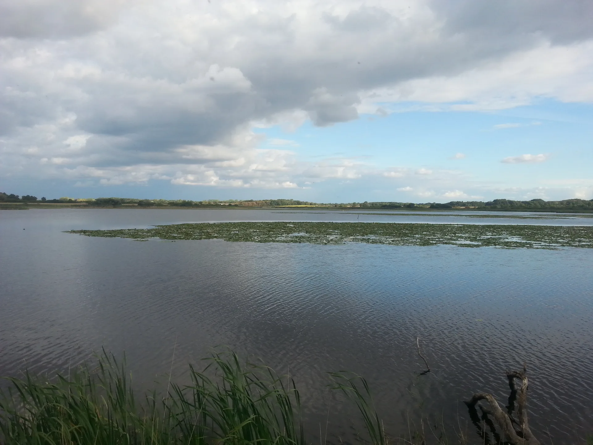 Etang des Epinettes à Saint-Michel-en-Brenne — À 4,5 km du lac
