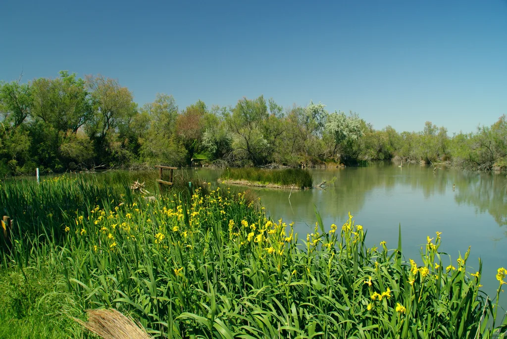Etang des Iscles, Saint-Gilles