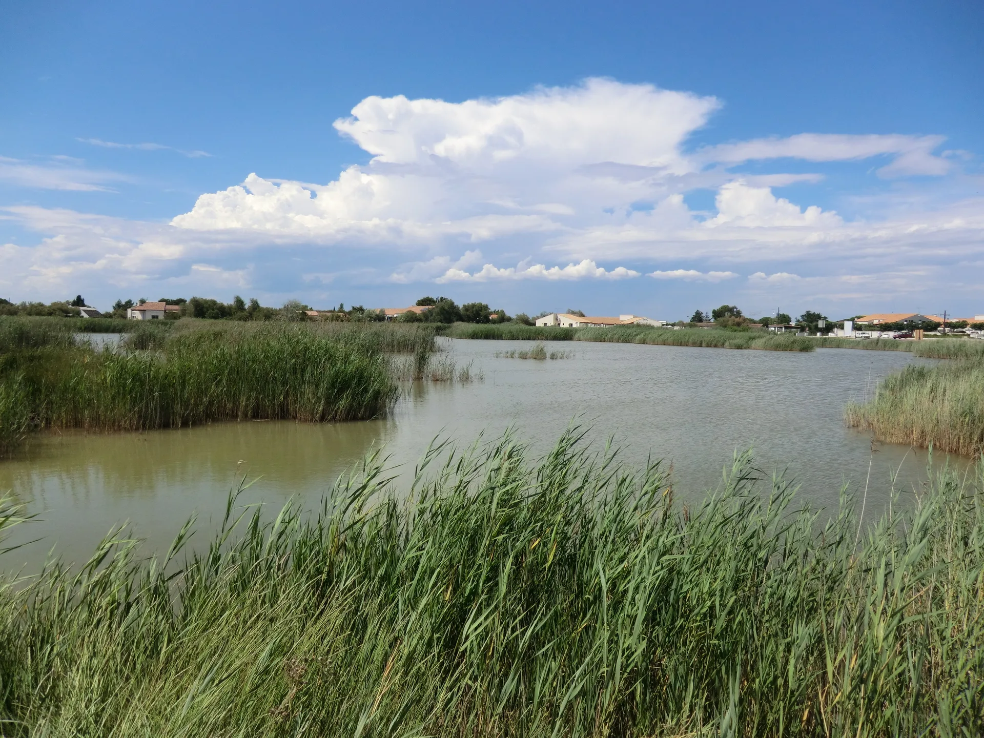 Etang des Massoucles à Saintes-Maries-de-la-Mer — À 1,7 km du lac