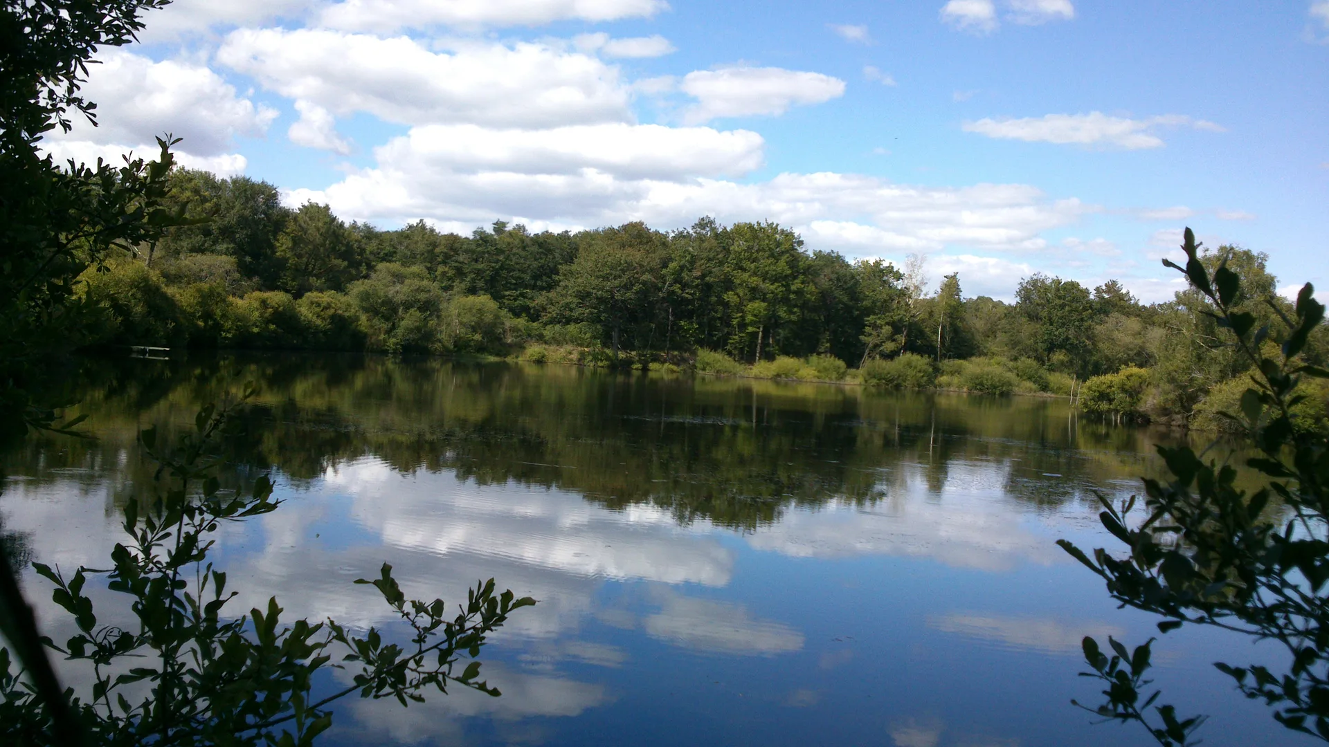 Etang des Noues à Cholet — À 4,2 km du lac