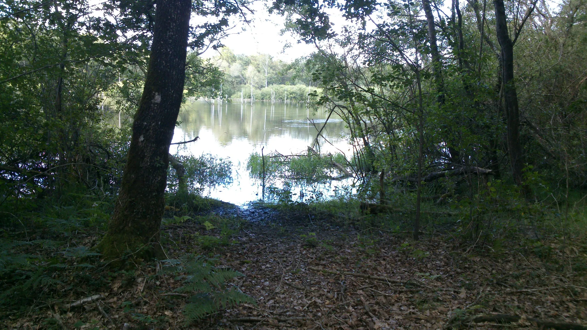 Etang des Noues à Cholet — À 4,2 km du lac