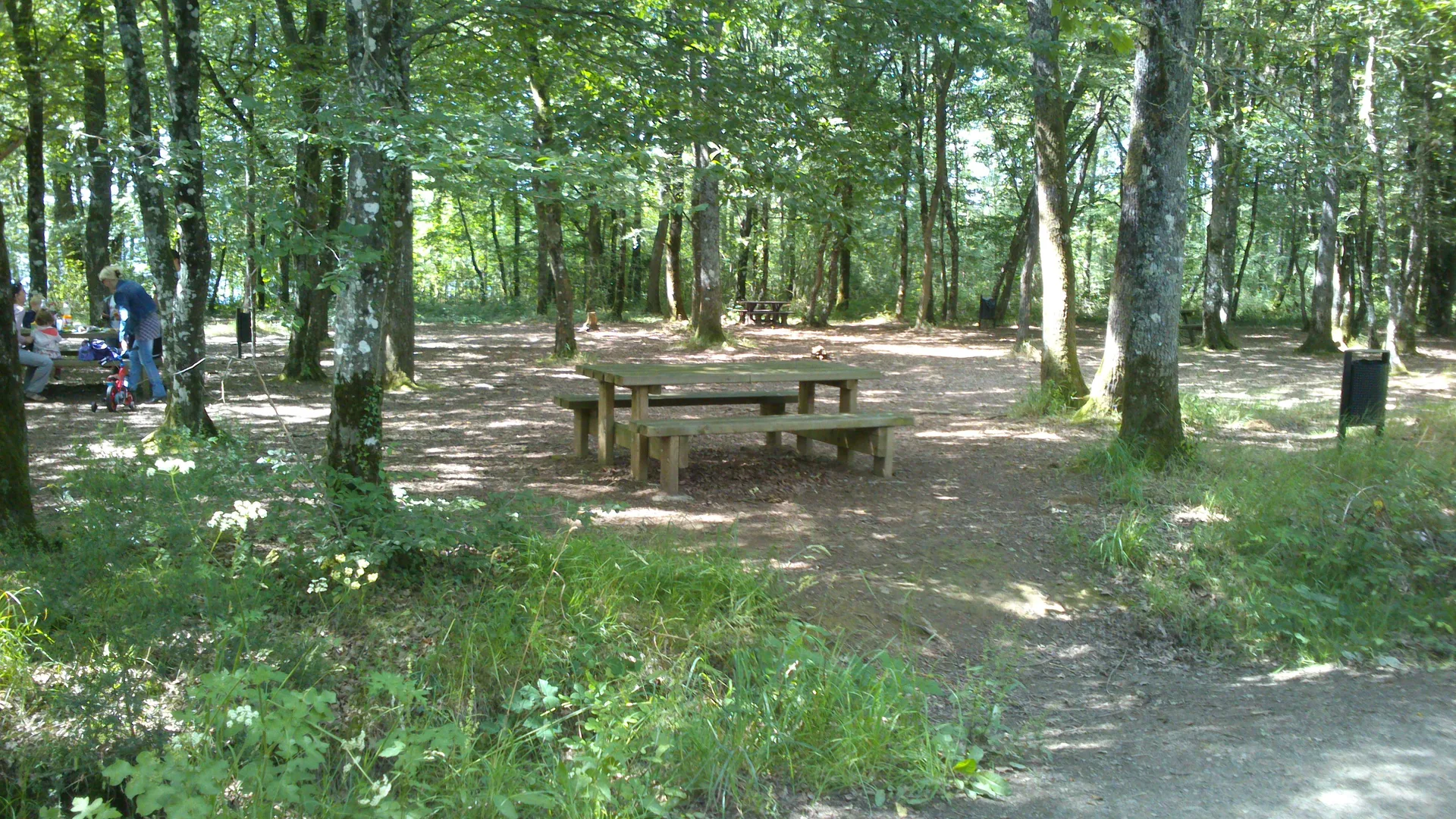 Etang des Noues à Cholet — À 455 m du lac