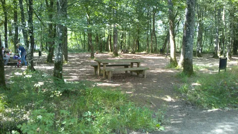 Etang des Noues