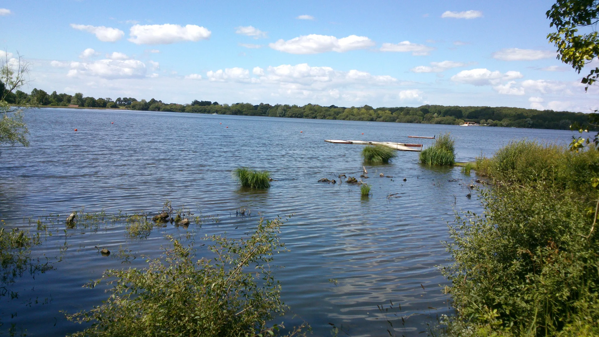 Etang des Noues à Cholet — À 696 m du lac