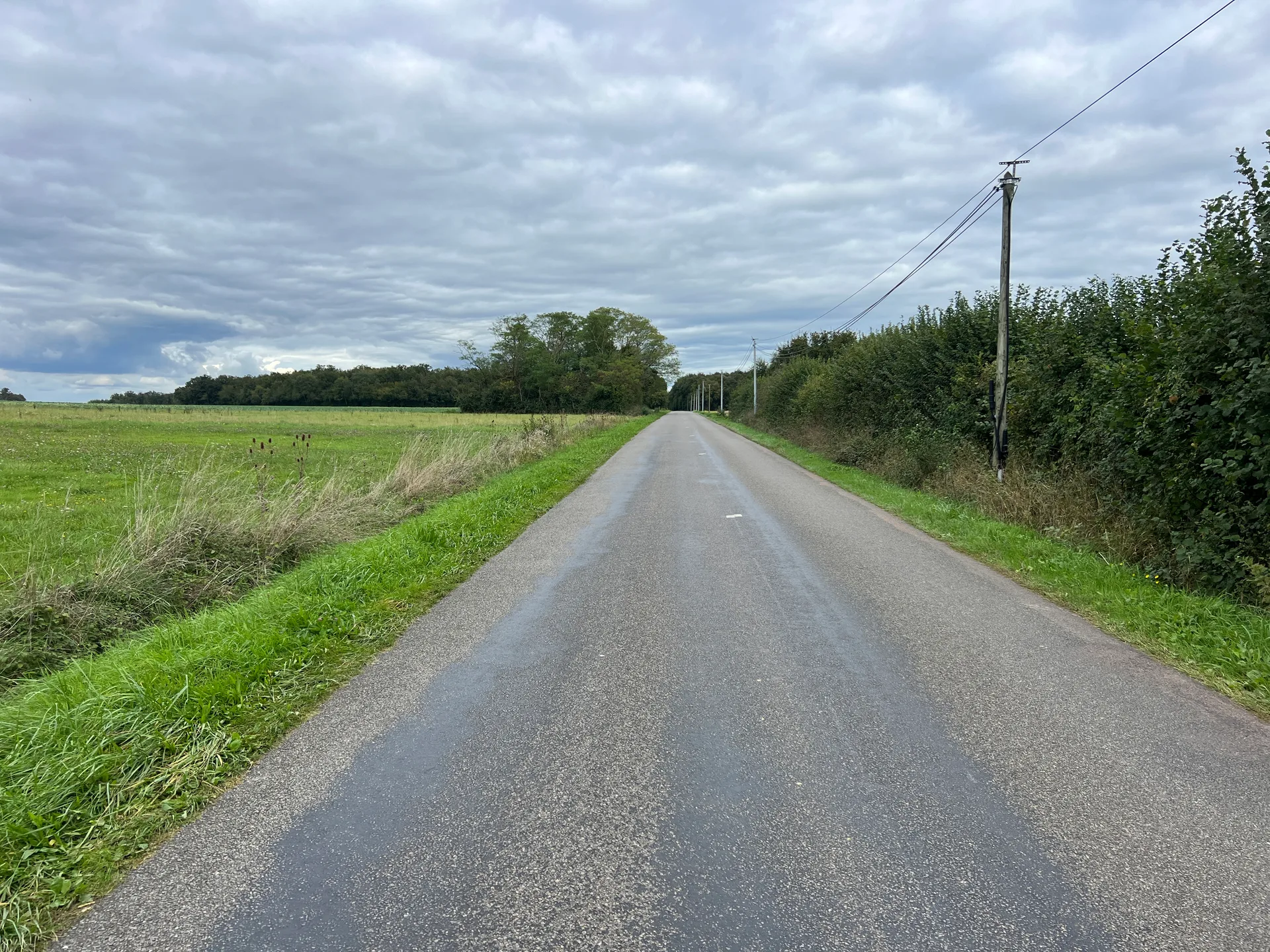 Etang des Oiseaux à Baudrières — À 1,3 km du lac
