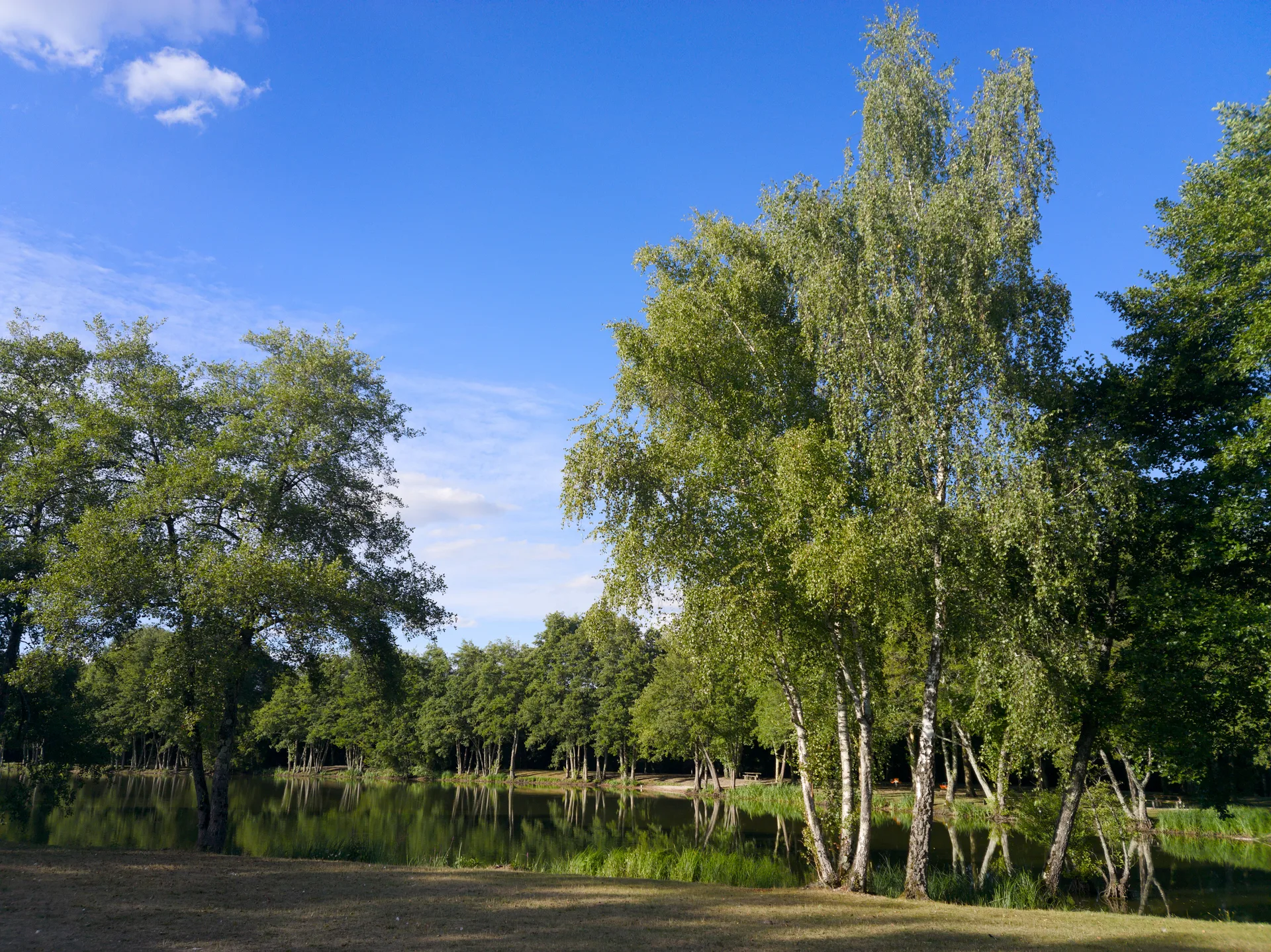 Etang des Peupliers à Ennordres — À 1,5 km du lac