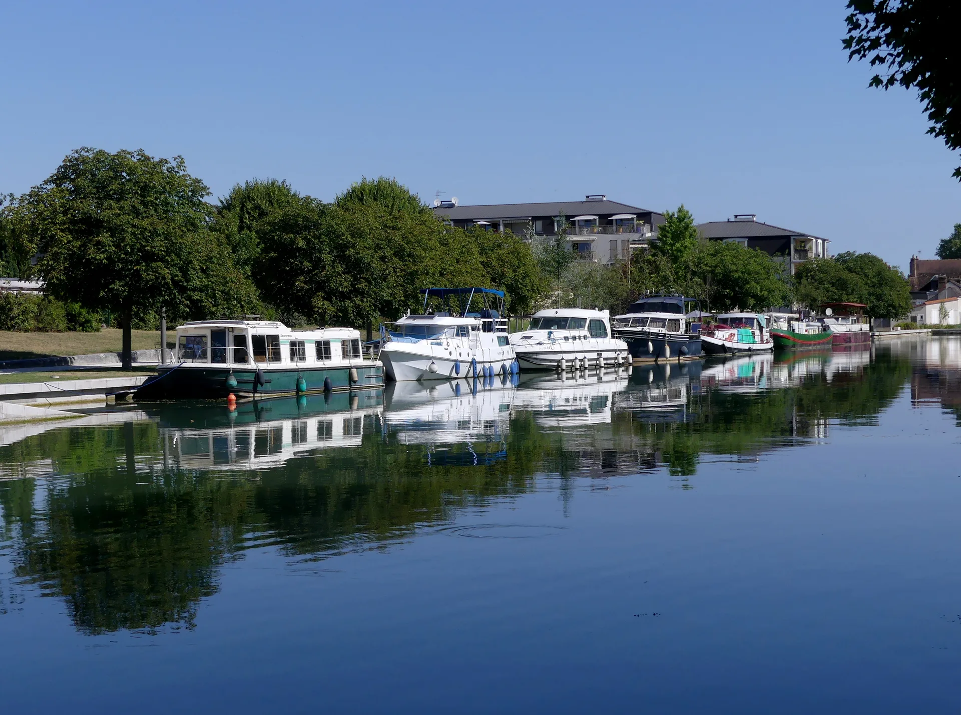 Etang des Savoies à Amilly — À 1,6 km du lac