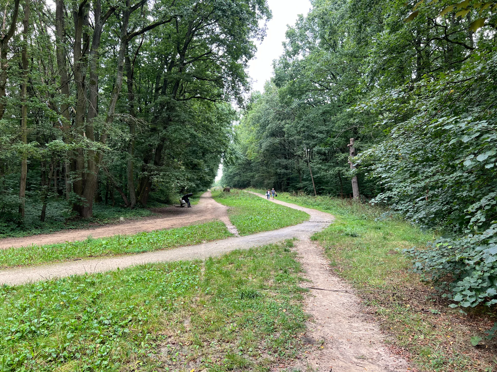Etang Dominique à Coubron — À 403 m du lac