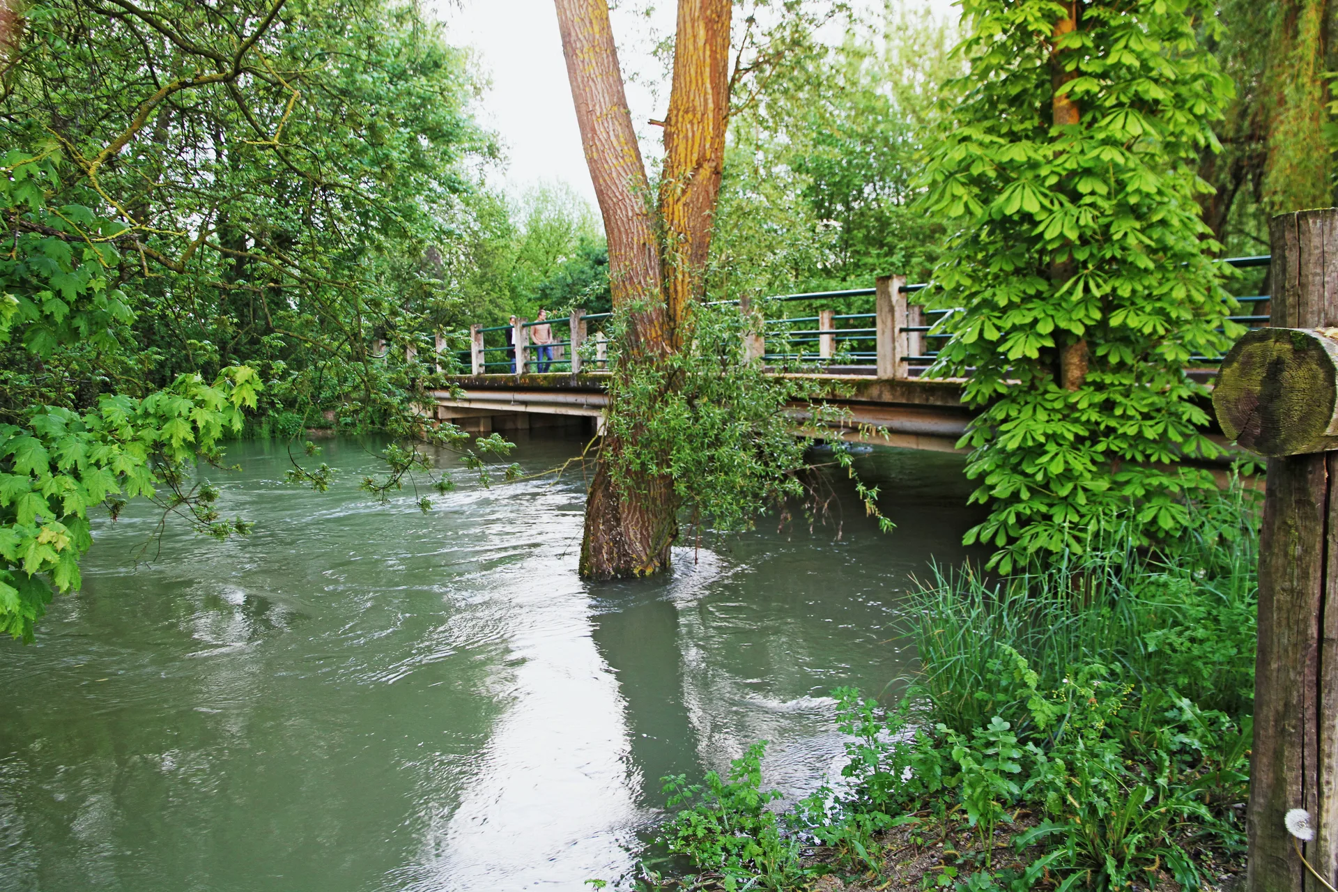 Etang du 12 7 à Rouilly-Saint-Loup — À 2,1 km du lac